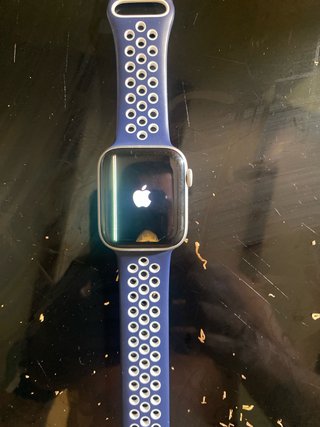 Apple Watch Blu e Argento