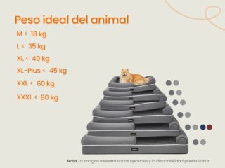 Cama Ortopédica para Perros Feandrea PGW076G02