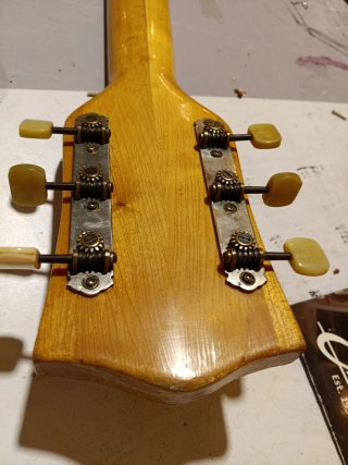 Guitarra Jazz Vintage Arnold Hoyer