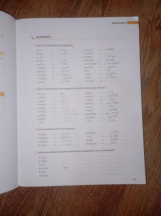 Llengua catalana i literatura, 2 Batxillerat