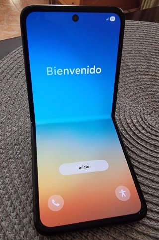 Samsung Galaxy Z Flip 3 Negro