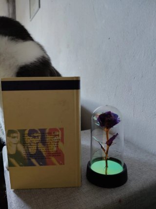 La hija del caníbal