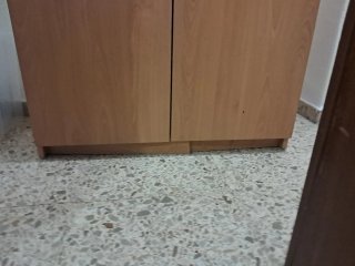 Hab.1: Armario de estudio con estantes