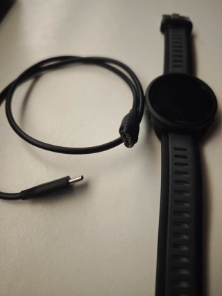 Garmin Forerunner 165 GPS Running Smartwatch