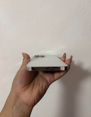 iPhone 13 Pro Max 256GB Argento