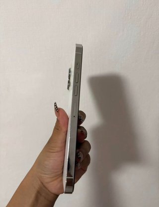 iPhone 13 Pro Max 256GB Argento