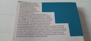 Teoria de la novela en Cervantes
