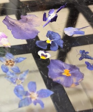 Pendientes flores azules