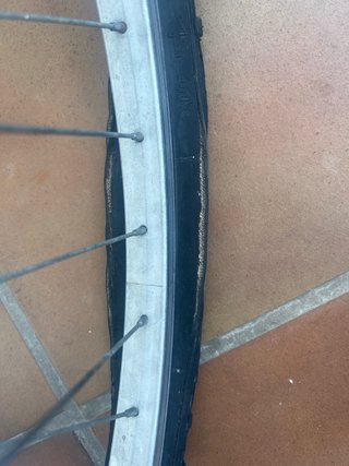 Rueda de Bicicleta