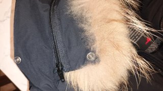 Museum parka