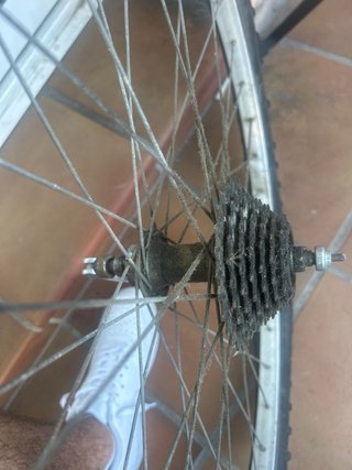 Rueda de Bicicleta