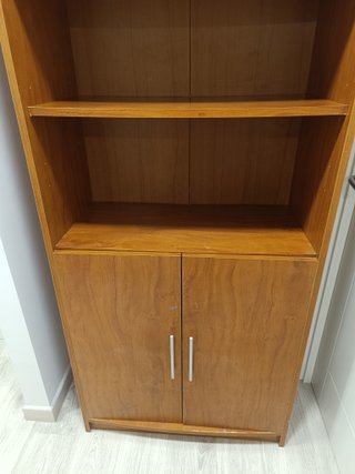 Librería de madera con puertas