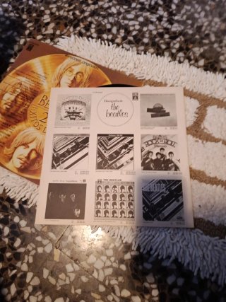 Vinilo The Beatles 20 Éxitos De Oro