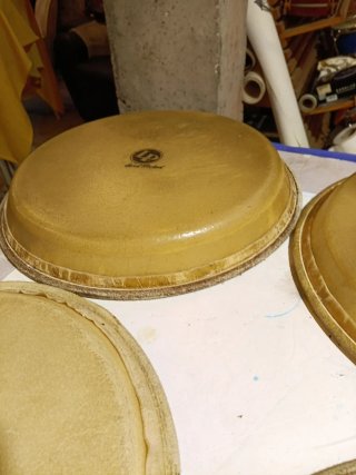 Parchi per congas