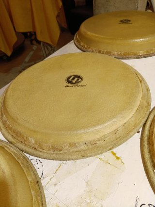 Parchi per congas