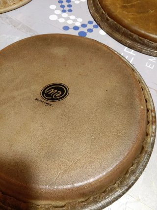 Parchi per congas