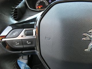 Peugeot 2008  2021