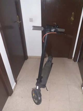 Patinete Eléctrico Xiaomi