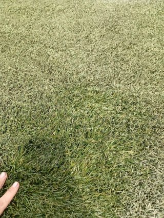 Césped artificial verde