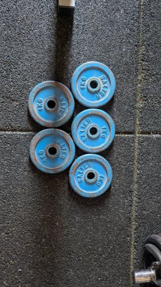 Discos de Pesas Salter 1kg Azules