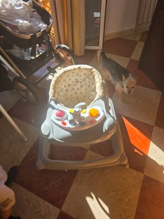 Productos bebe