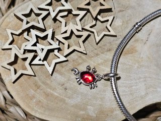 Charm Cangrejo Sebastian