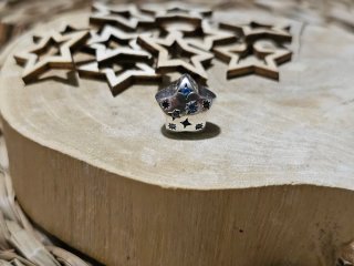Charm Estrella Brillante