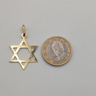 00626 Colgante Estrella de David 18k.