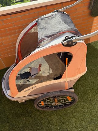 Carro Weeride