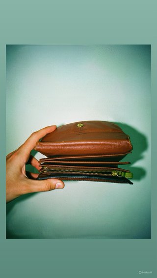 Cartera Louis Vuitton Marrón verdadera