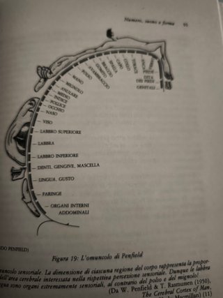 L apertura del terzo occhio