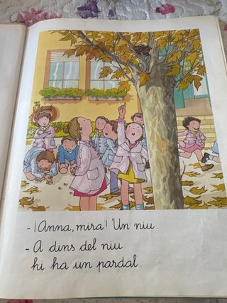 La Nau Llengua, Educacio Primària, Cicle Inicia...