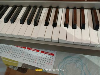 Teclado Casio Privia
