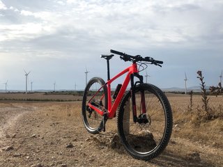 Specialized Stumpjumper Comp Carbono 29