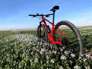 Specialized Stumpjumper Comp Carbono 29