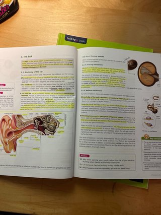 Biology, 3 Secondary Humans and health II