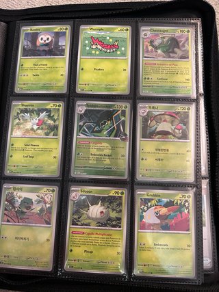 Cartas Pokémon TGC - Lote Variado