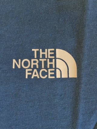 Camiseta The North Face Azul Talla S