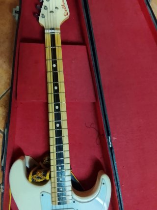 Delfos Electra Jazz Guitarra 1960/70