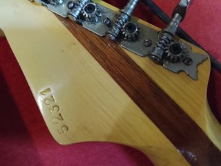 Delfos Electra Jazz Guitarra 1960/70
