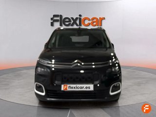 Citroën Berlingo Talla M  BlueHDi 130 S&S SHINE - 5P (2023)