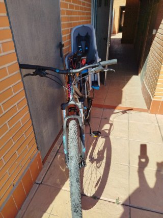 Silla niño Thule para bicicleta