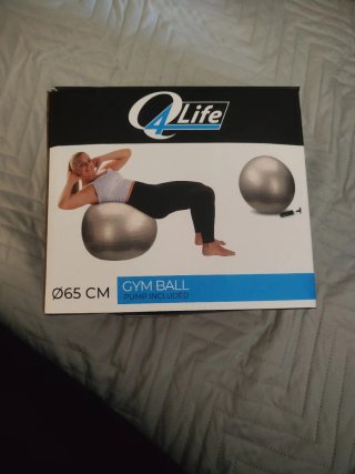 Pelota Gym Ball 65 cm + Bomba