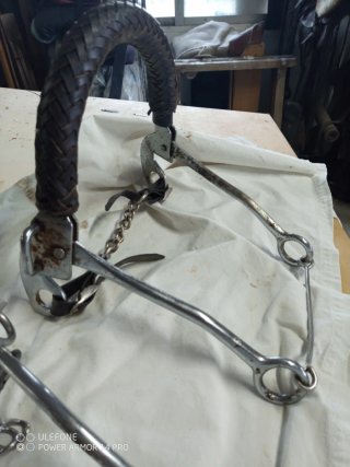 Caballos Muserola Hackamore Cuero Trenzado