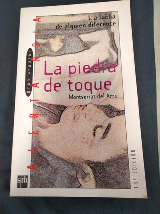Libro - La Piedra de Toque