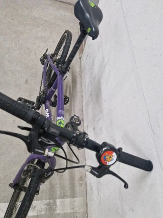 Bicicleta Morada Frog Bikes