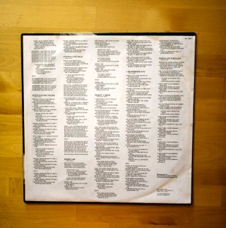 1a EDICIÓN VINILO LP SKID ROW