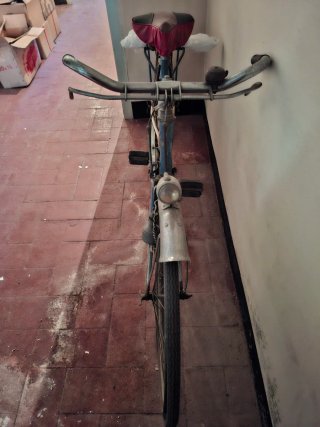 Bicicleta Clásica Mujer 1960