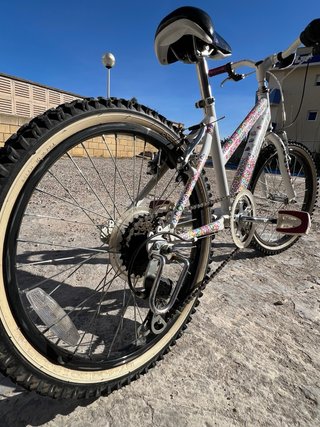 Bici Raleigh 20 pollici