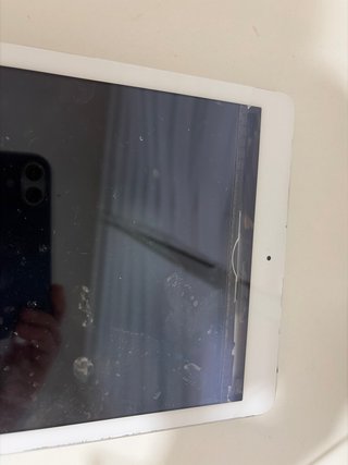 Apple iPad Blanco